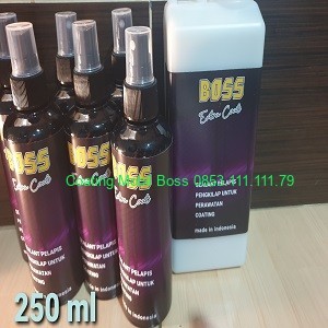 20200730_085423 Extra Coat Spray Sealant 250 ml